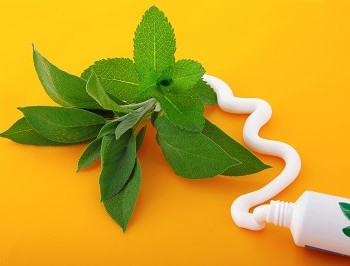 Mint can help keep your breath fresh.